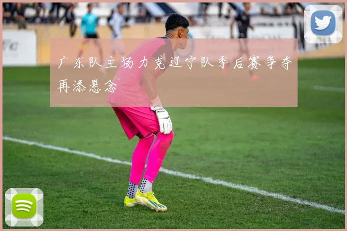 广东队主场力克辽宁队季后赛争夺再添悬念